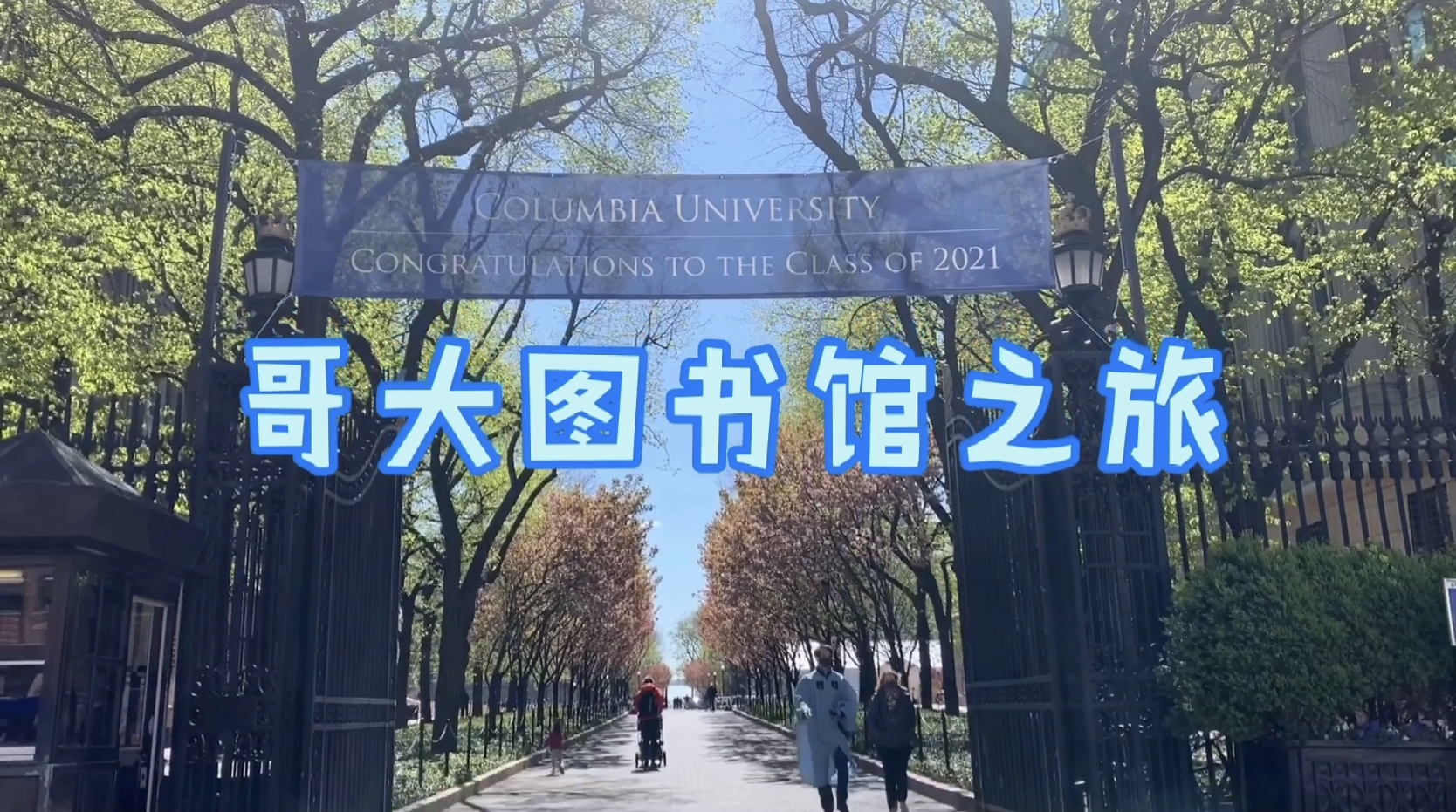 Video Clip 1