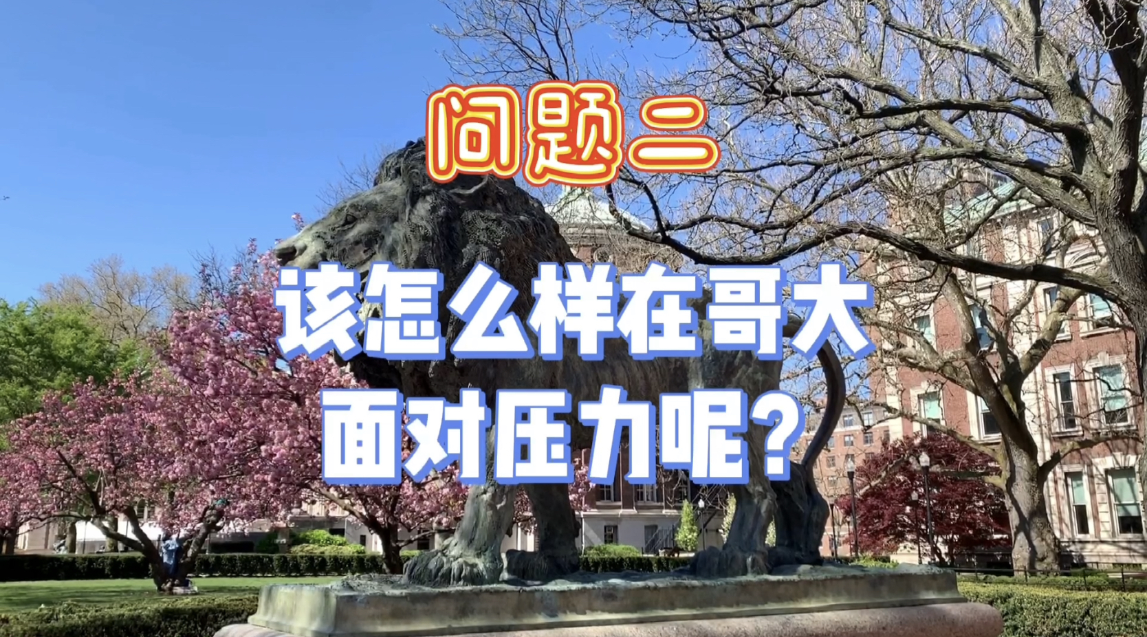Video Clip 2