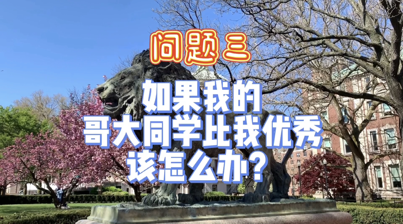 Video Clip 4